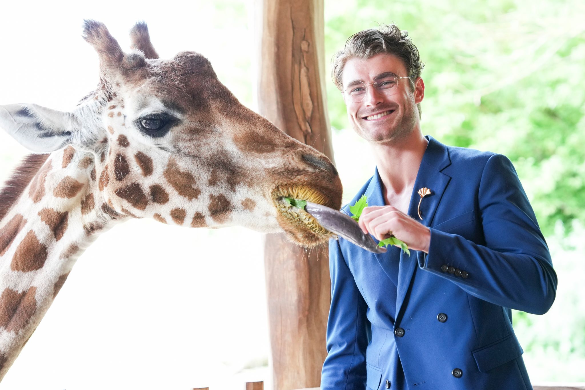 Model Linus Weber wird Namenspate für Giraffenjungtier