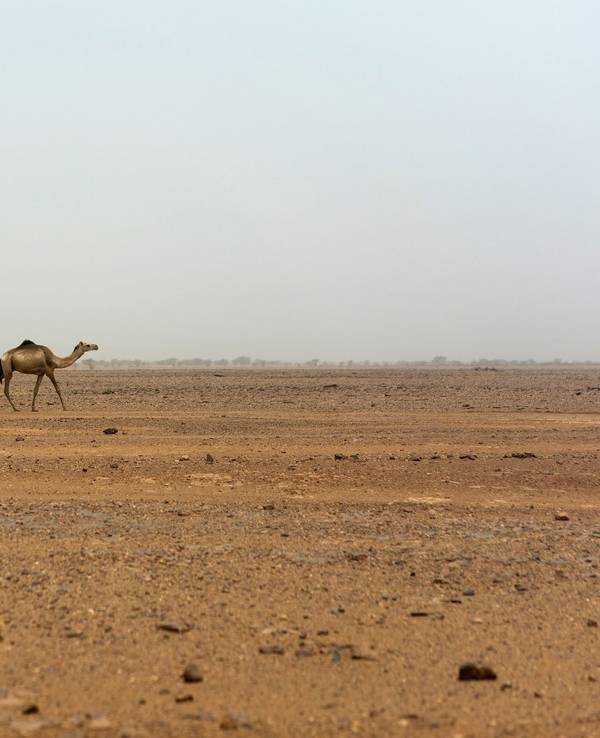 Sahara im Niger
