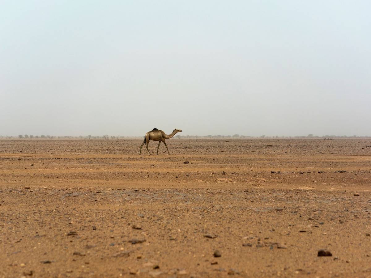 Sahara im Niger