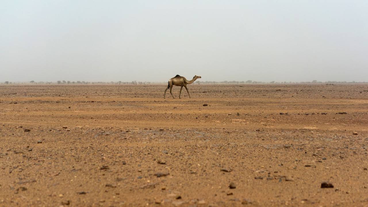 Sahara im Niger