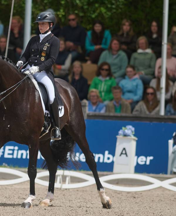 Pferdesport Dressur: Deutsche Meisterschaft