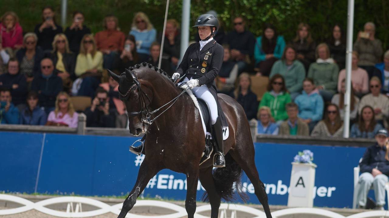 Pferdesport Dressur: Deutsche Meisterschaft
