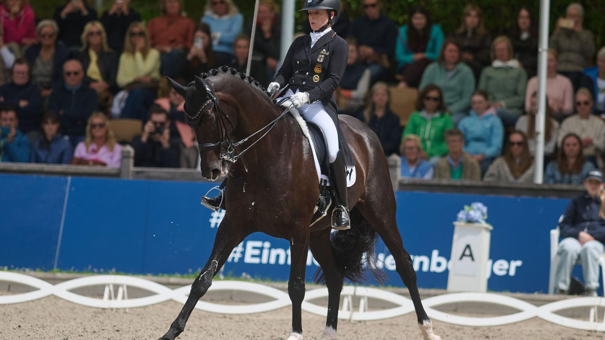 Pferdesport Dressur: Deutsche Meisterschaft