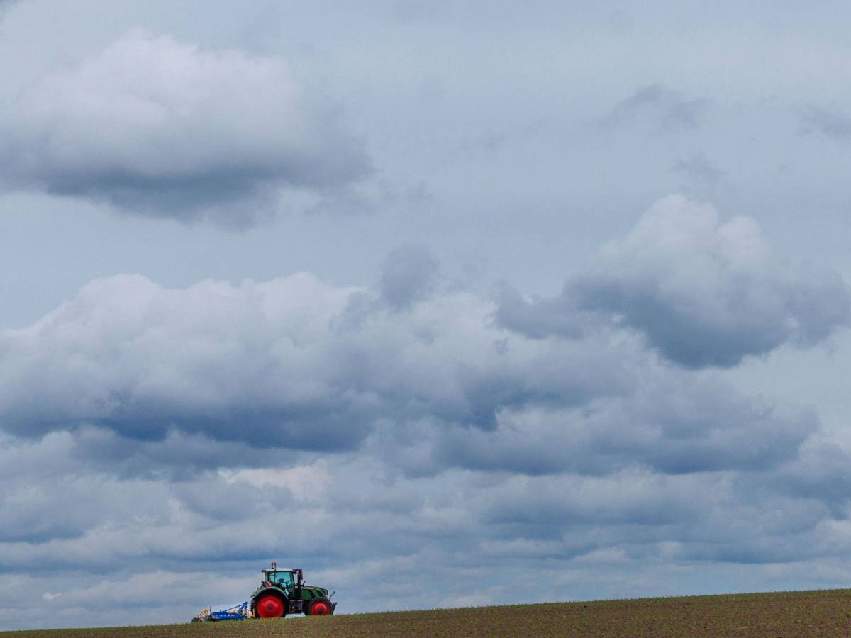 Feldarbeiten in Norddeutschland