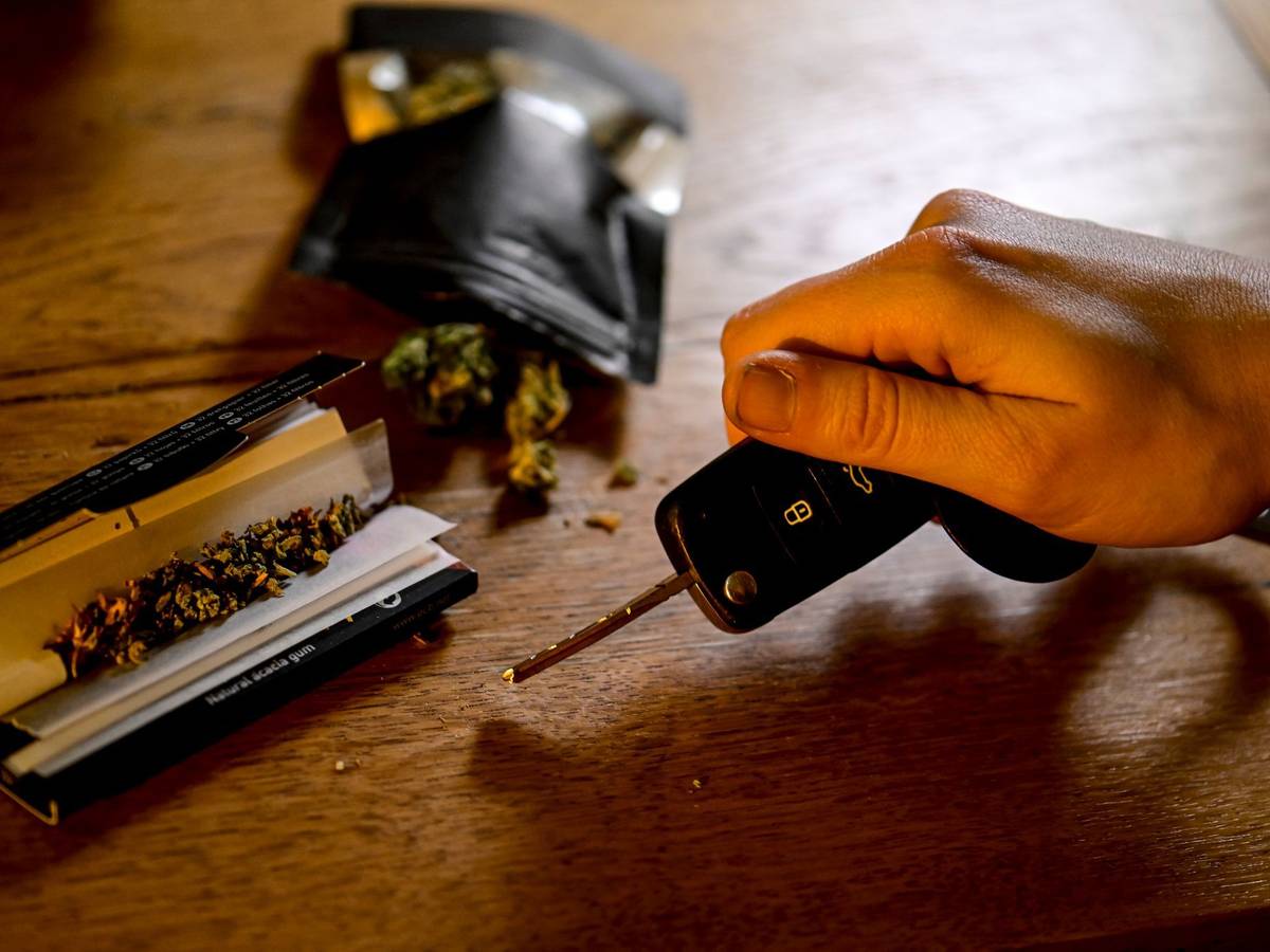 Cannabis