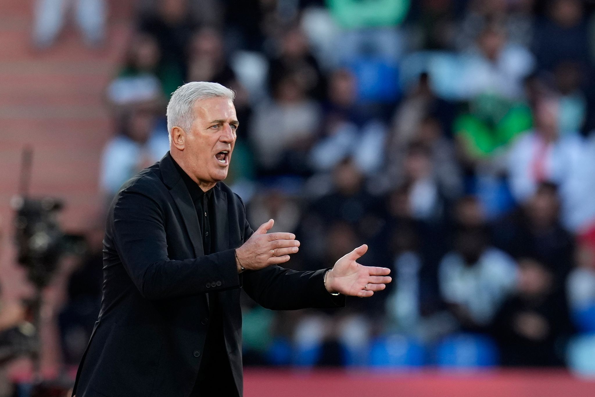 Vladimir Petkovic