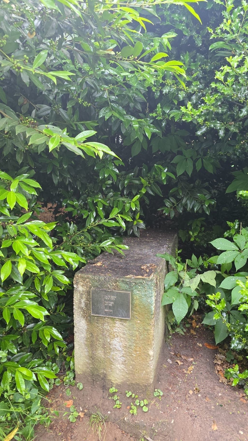 Ein leerer Sockel der Skulptur Panther ist zurückgeblieben.