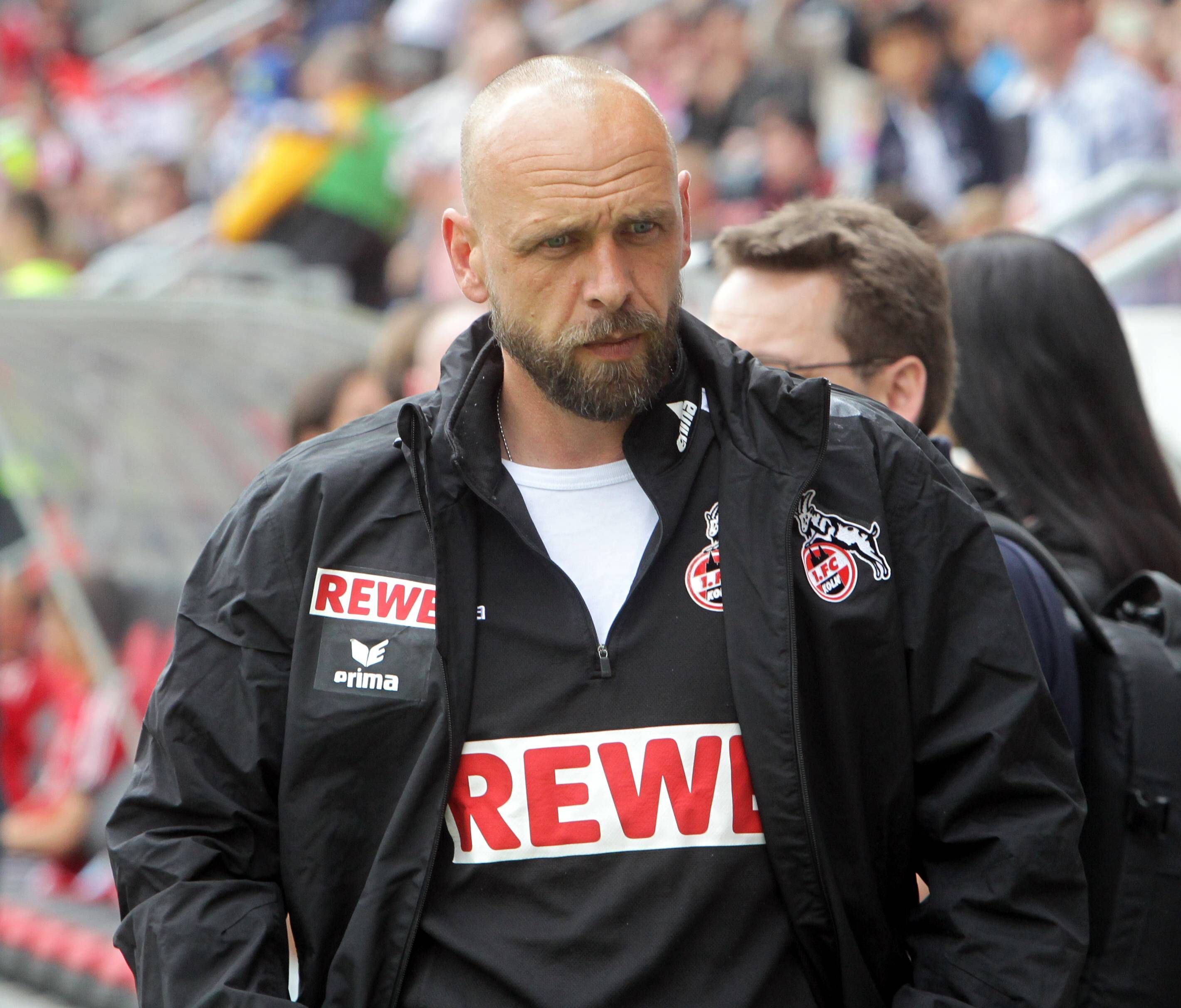Holger Stanislawski in Jacke und Pullover des 1. FC Köln.