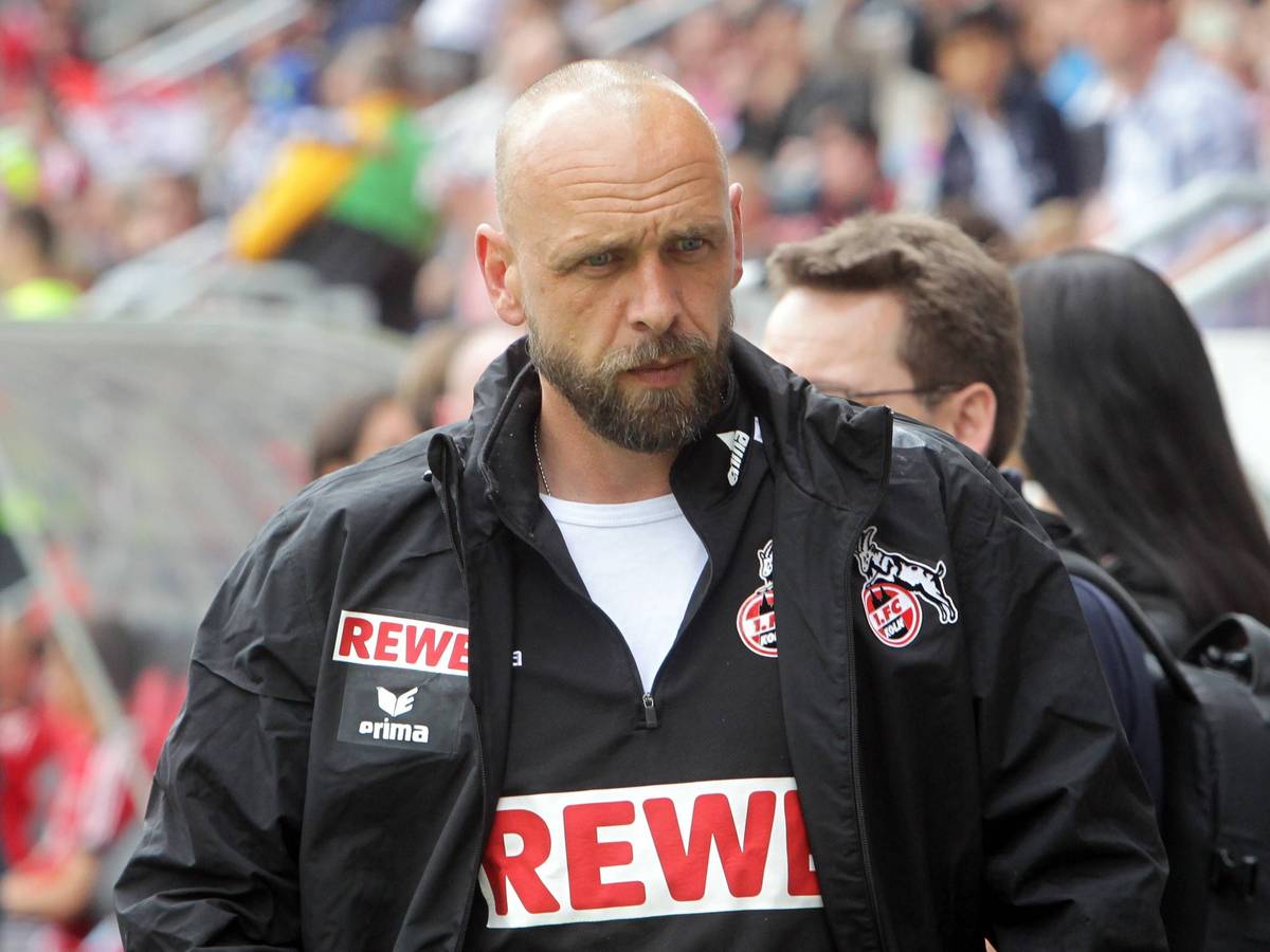 Holger Stanislawski in Jacke und Pullover des 1. FC Köln.