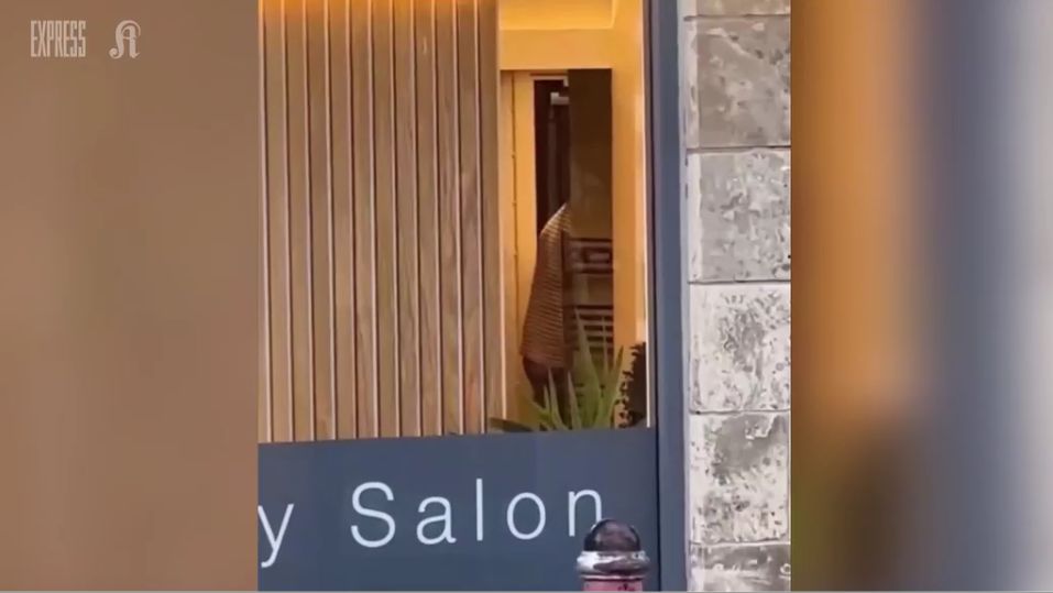 Ein Pub-Gast konnte die Sex-Szene in einem Friseursalon mit ansehen und filmte alles.
