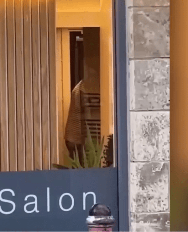 Ein Pub-Gast konnte die Sex-Szene in einem Friseursalon mit ansehen und filmte alles.