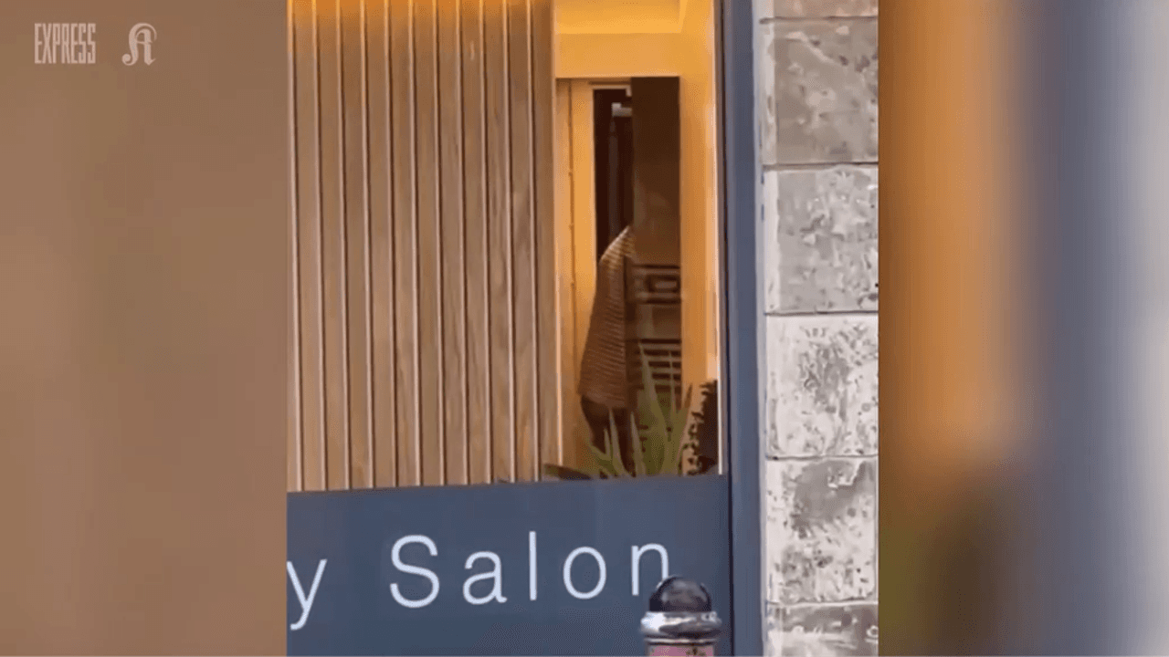 Ein Pub-Gast konnte die Sex-Szene in einem Friseursalon mit ansehen und filmte alles.