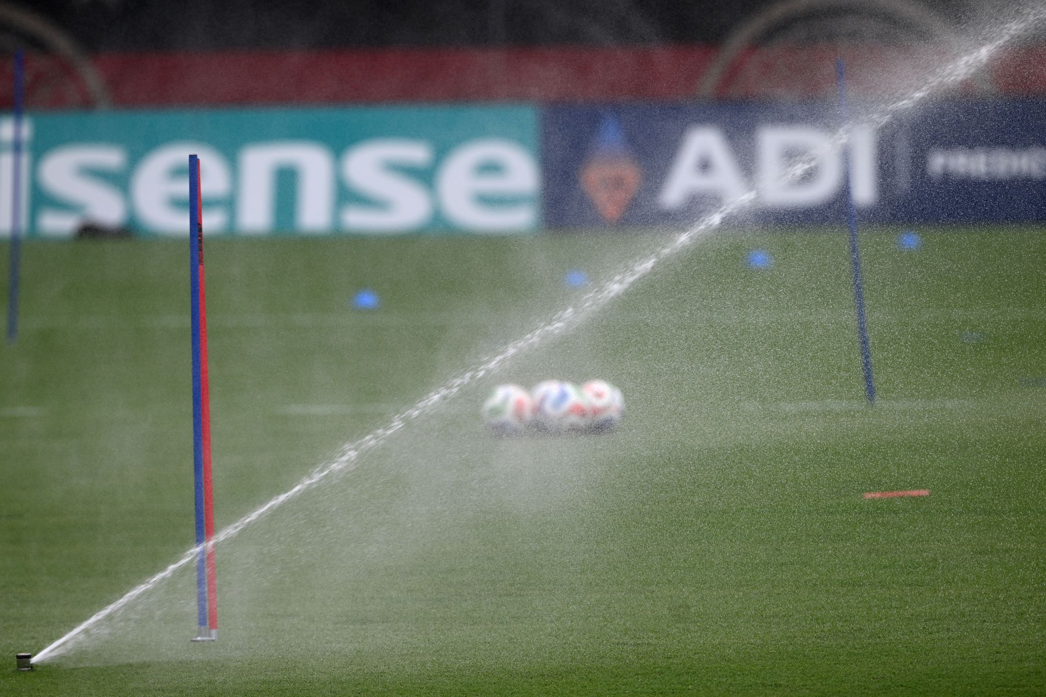 Rasen im DFB-Trainingsstadion