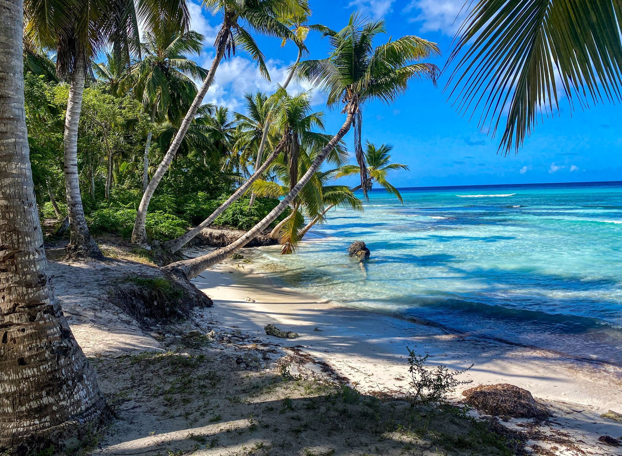 Palmen und Strand auf Soana