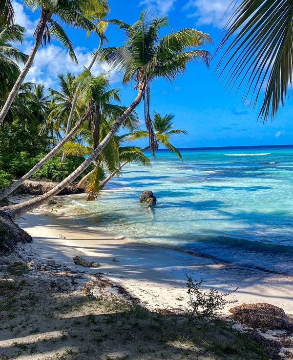 Palmen und Strand auf Soana