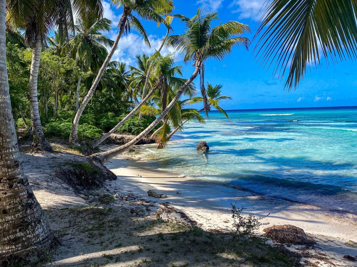 Palmen und Strand auf Soana