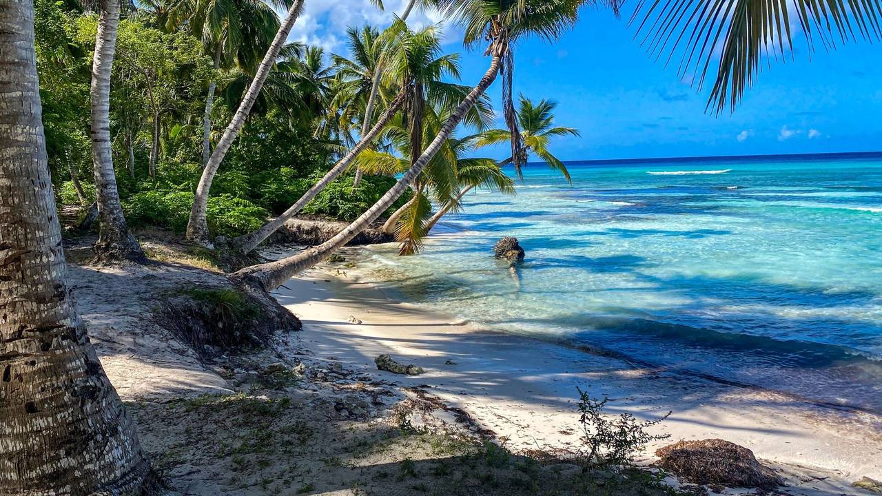 Palmen und Strand auf Soana