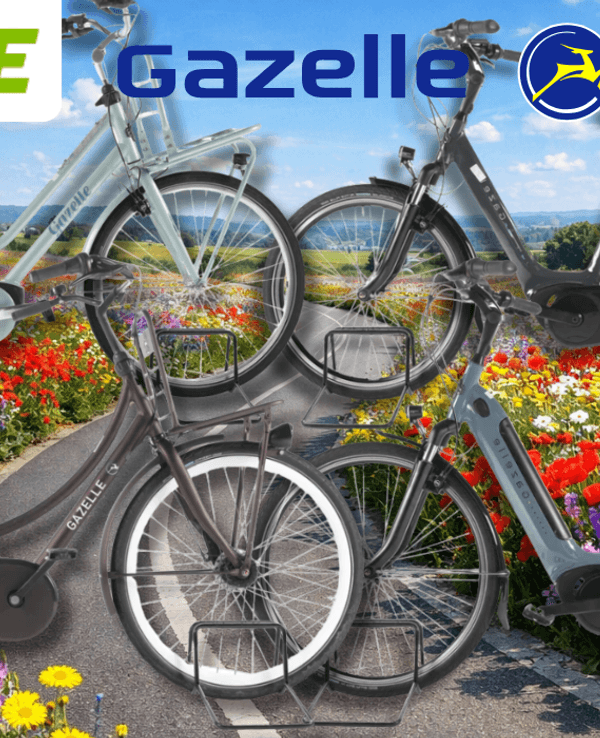 4 verschiedene Gazelle Fahrräder vor einem Fahrradweg.