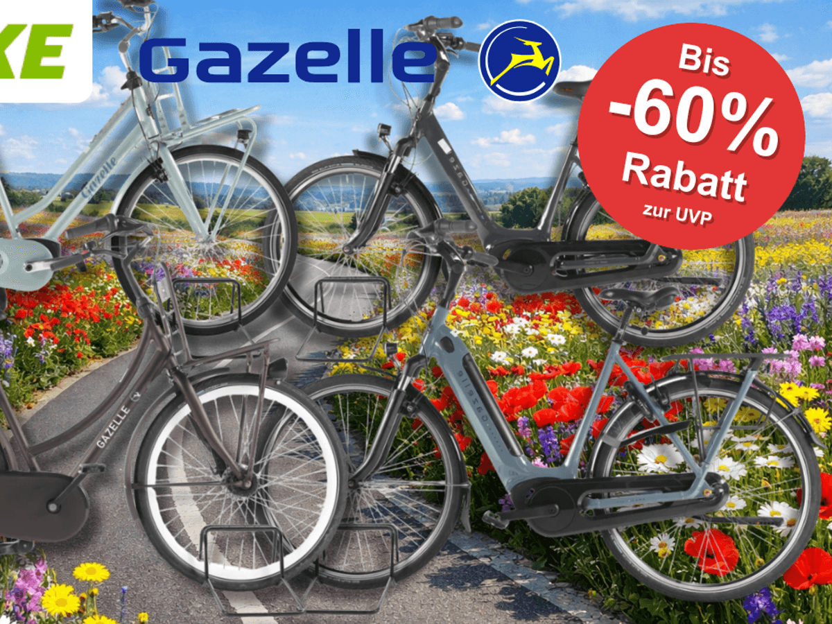 4 verschiedene Gazelle Fahrräder vor einem Fahrradweg.