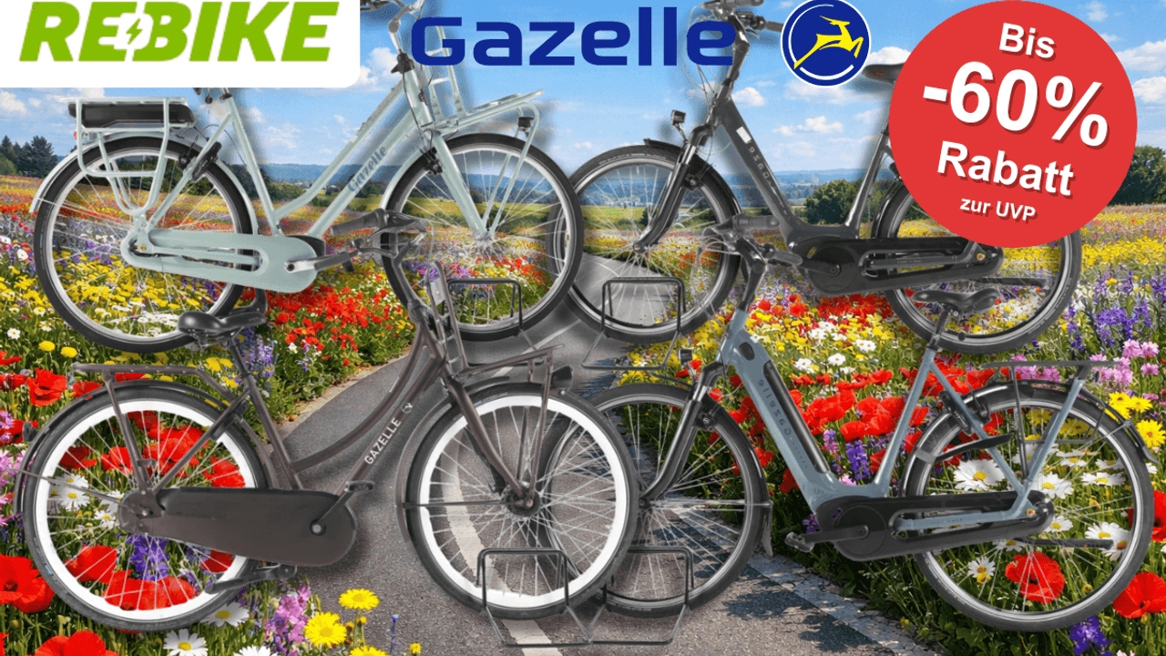 4 verschiedene Gazelle Fahrräder vor einem Fahrradweg.
