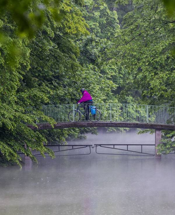 Regen in Köln