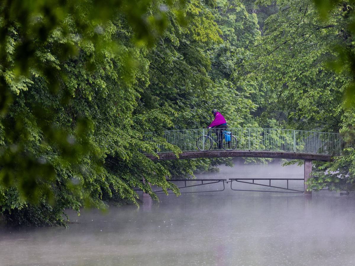 Regen in Köln