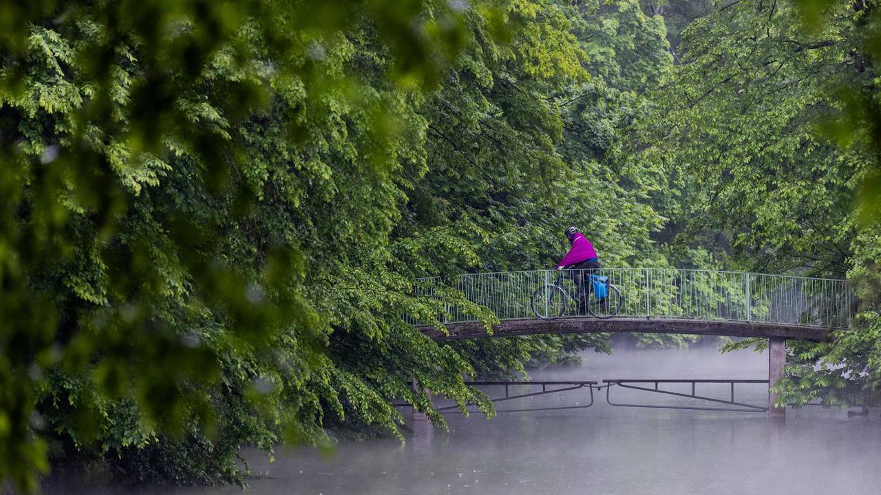 Regen in Köln