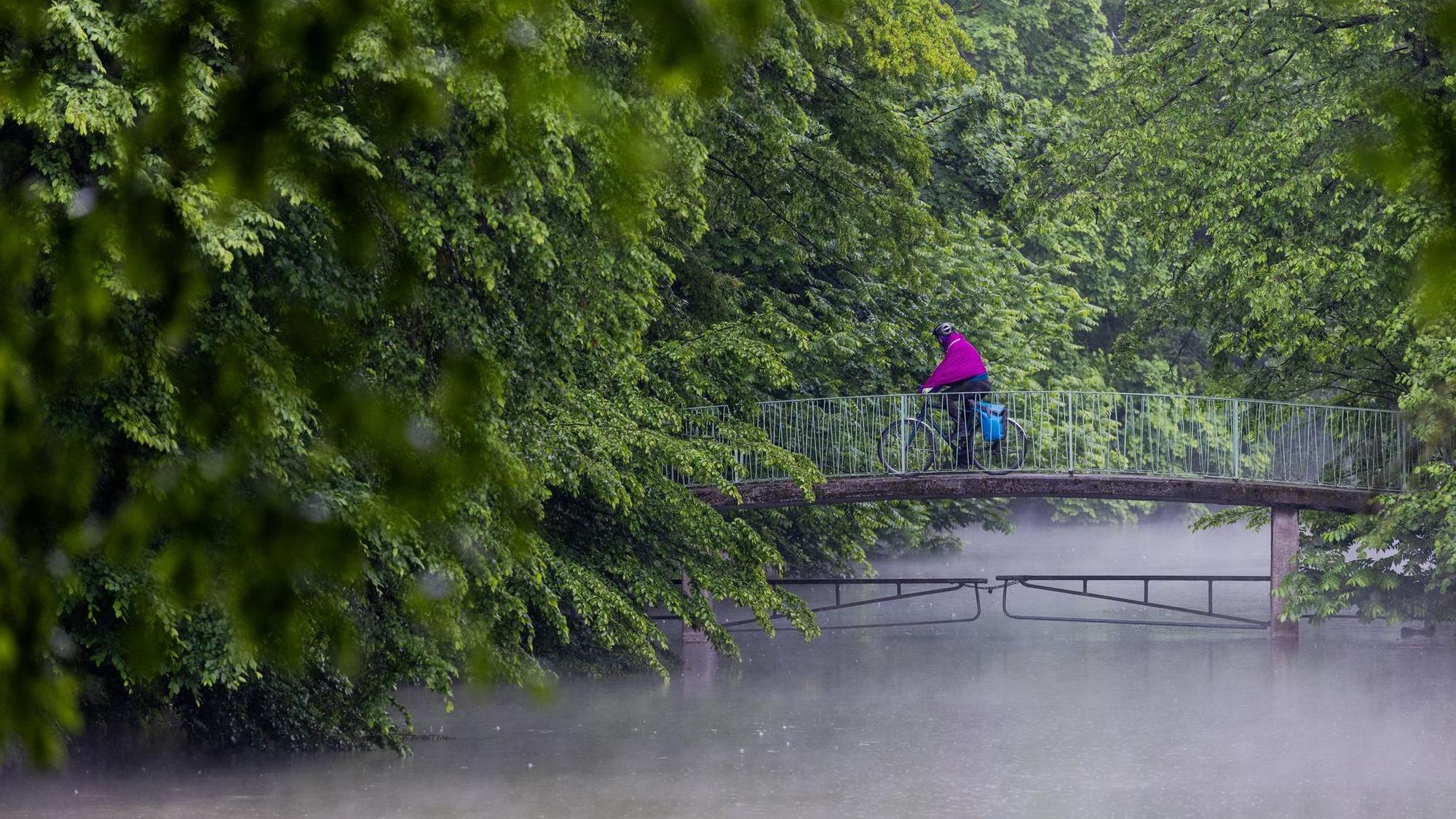 Regen in Köln