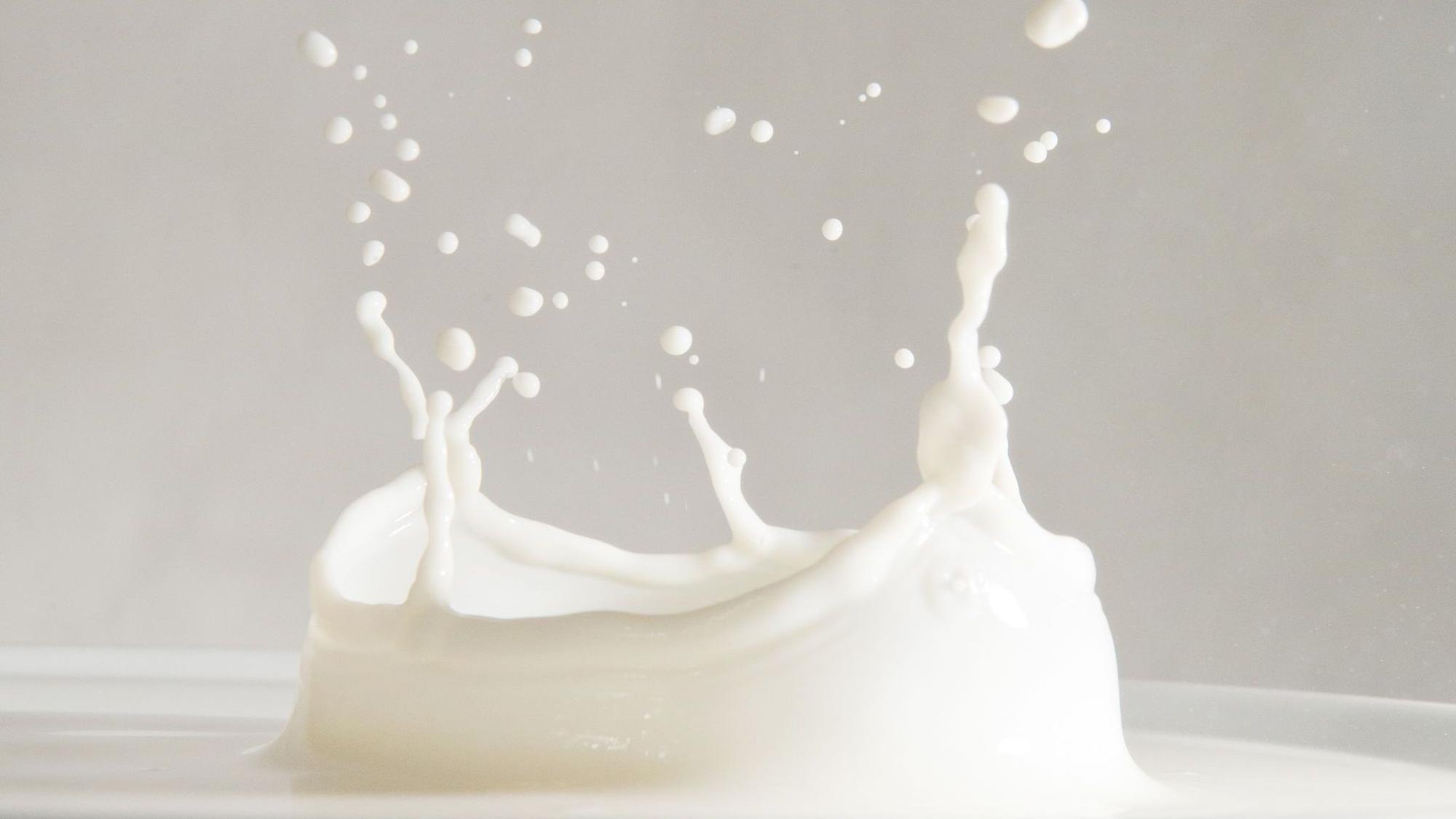Milch spritzt in einem Glas