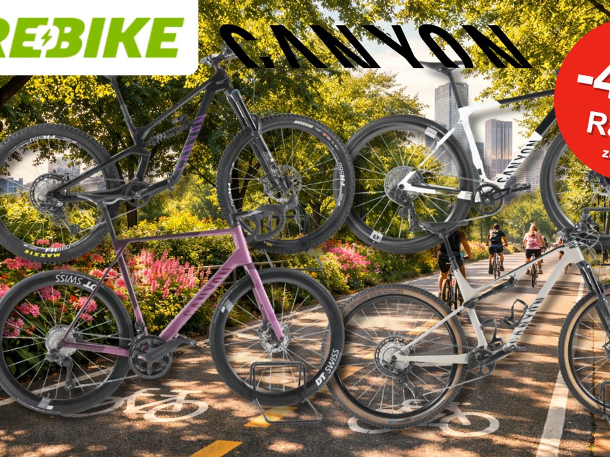 aufbewahrung für kleinteile Aufbewahrungsbox 24 Fächer migration_workshop Licorne Bike Guide Premium Größe:Diamant S