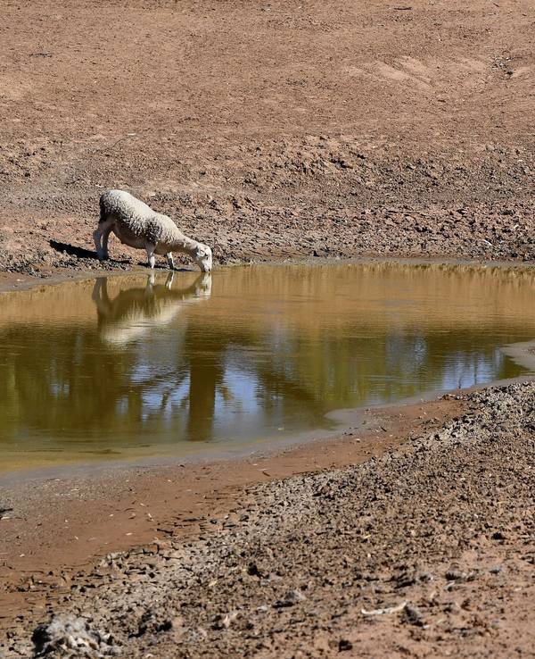 El Niño