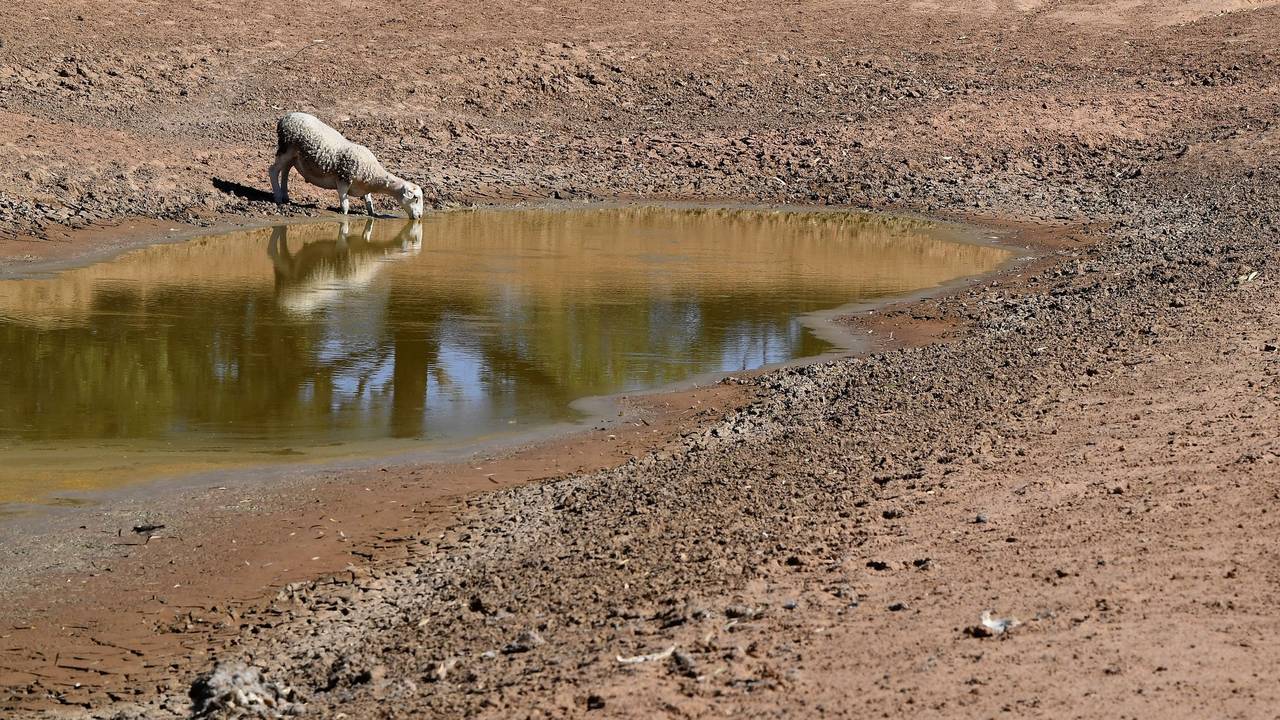 El Niño