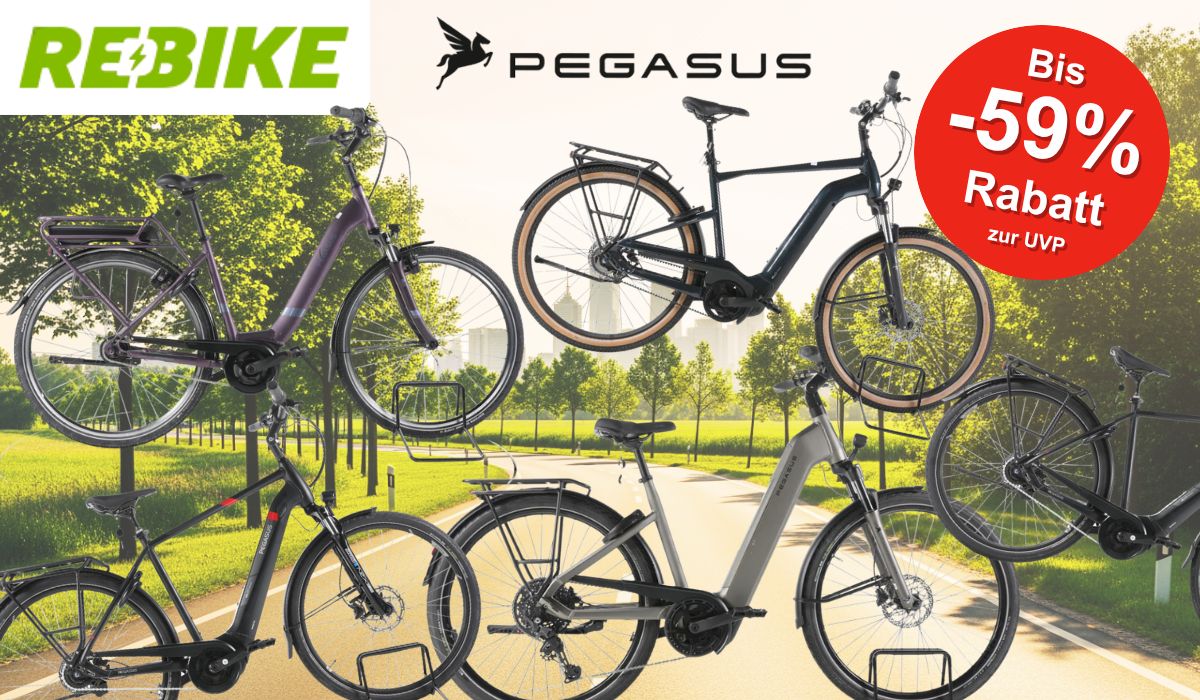 5 Pegasus Bikes vor einem Fahrradweg
