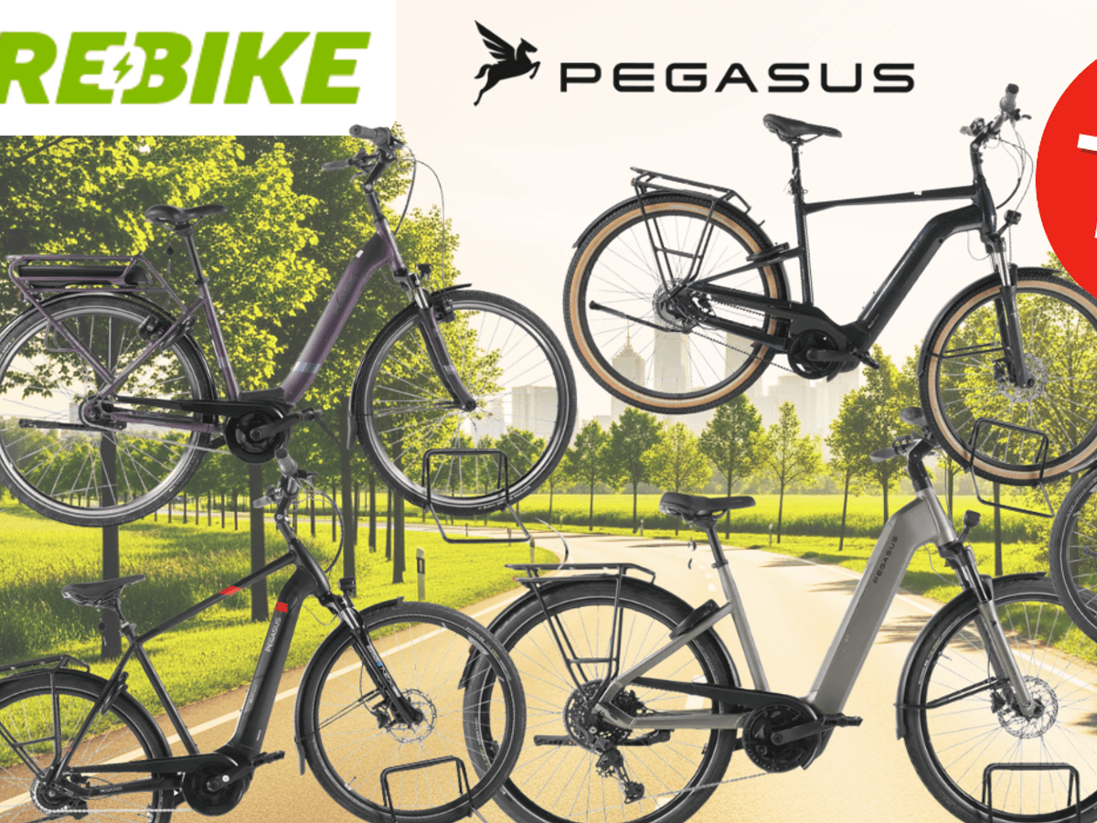 5 Pegasus Bikes vor einem Fahrradweg