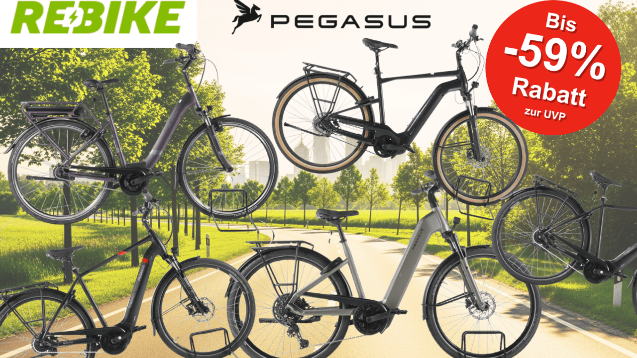 5 Pegasus Bikes vor einem Fahrradweg