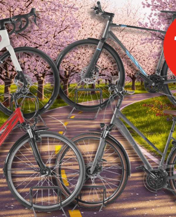 4 Fahrräder vor einem Radweg im Frühling mit blühenden Bäumen.