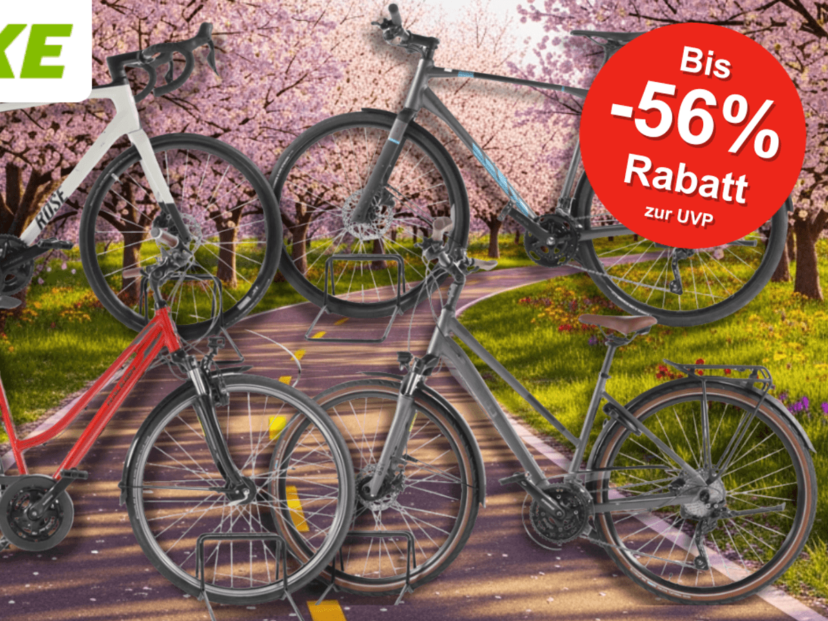 4 Fahrräder vor einem Radweg im Frühling mit blühenden Bäumen.