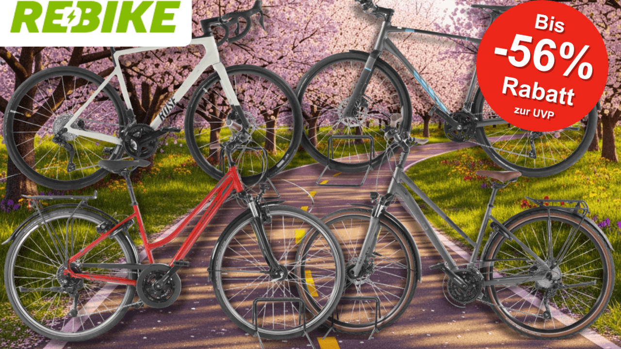 4 Fahrräder vor einem Radweg im Frühling mit blühenden Bäumen.