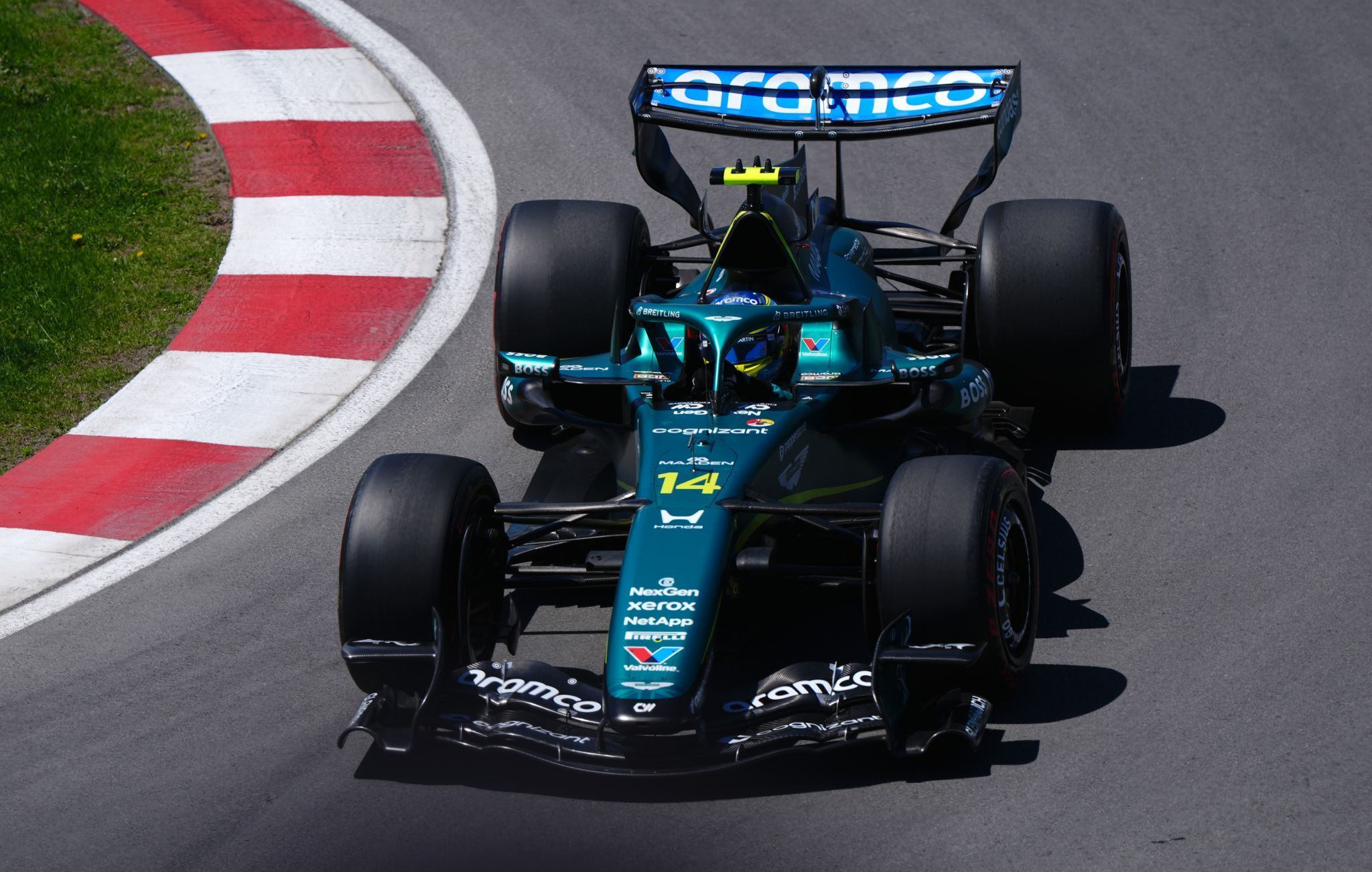 Fernando Alonso