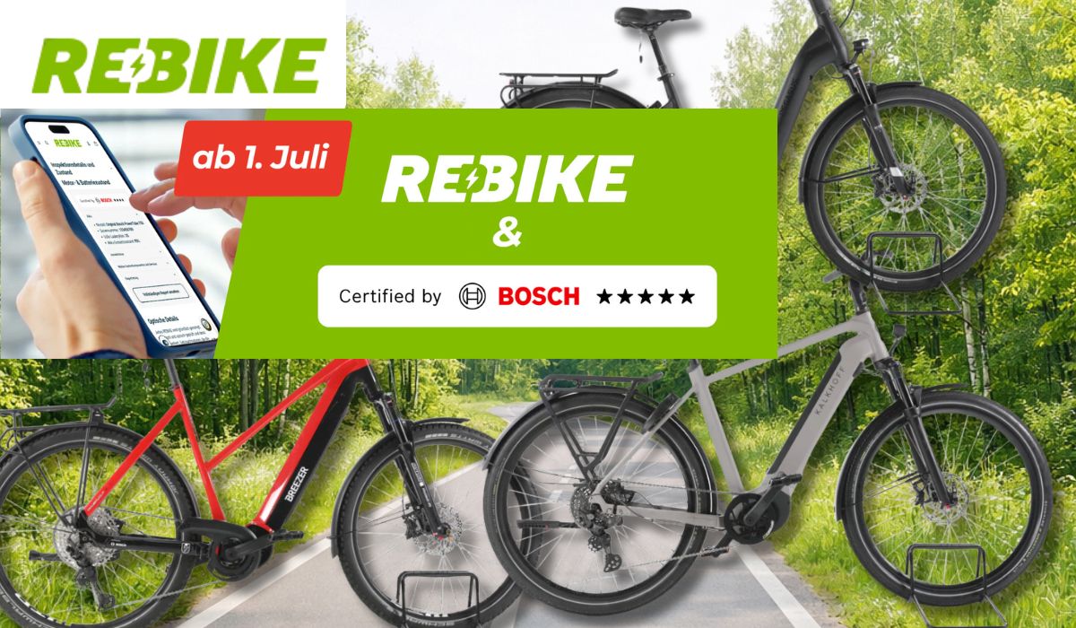 3 E-Bikes mit Bosch Motor vor einem Waldweg.