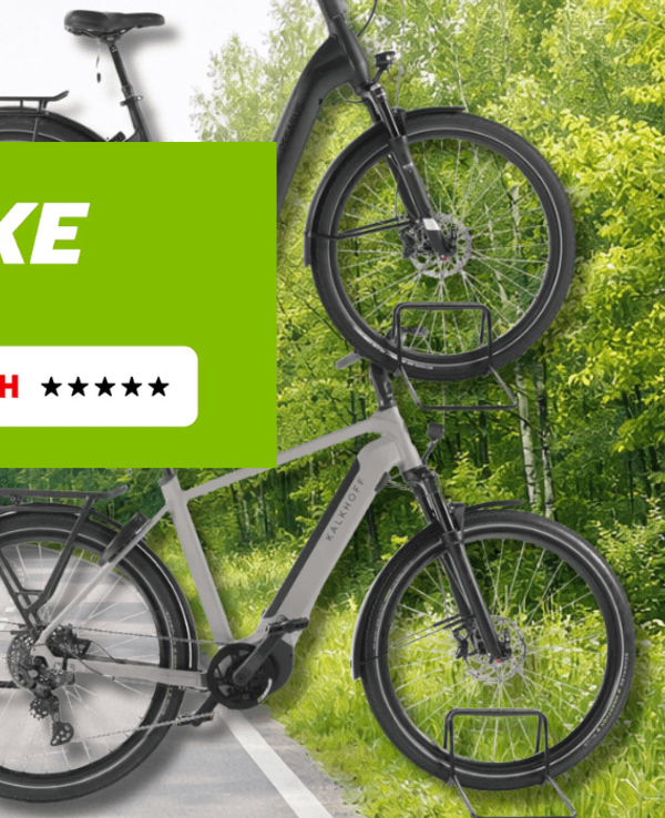 3 E-Bikes mit Bosch Motor vor einem Waldweg.