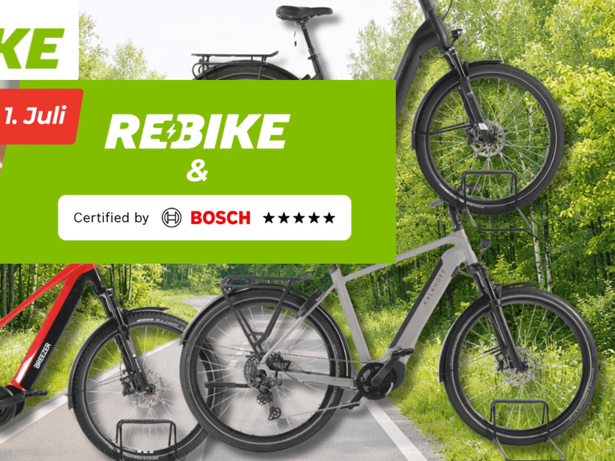 3 E-Bikes mit Bosch Motor vor einem Waldweg.