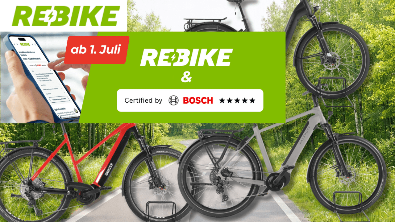 3 E-Bikes mit Bosch Motor vor einem Waldweg.