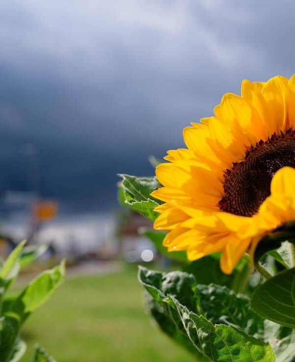 Wetter in Baden-Württemberg