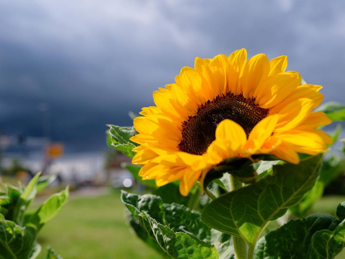 Wetter in Baden-Württemberg