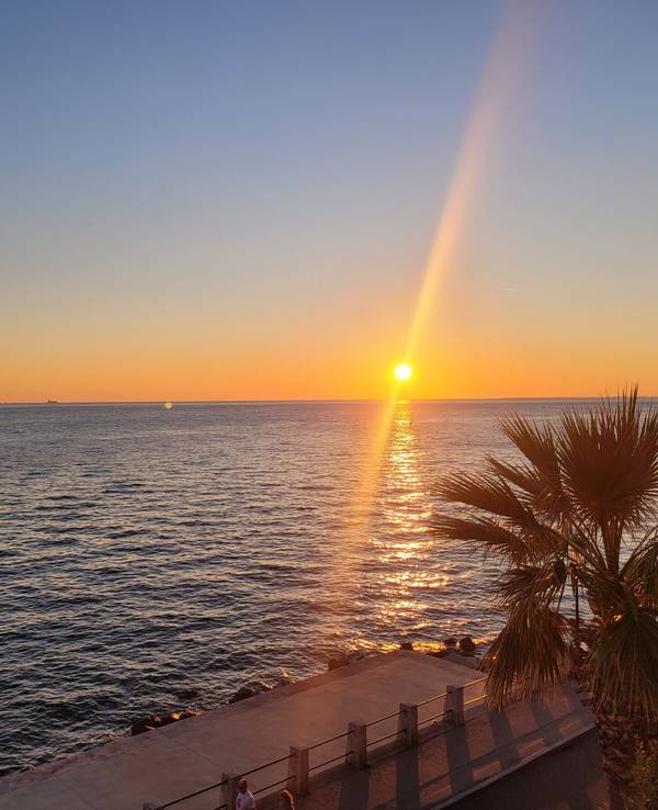 Sonnenuntergang am Meer, im Vordergrund Palmen und ein Bootsanleger.