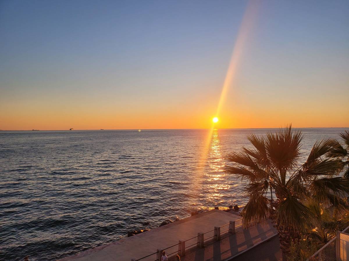 Sonnenuntergang am Meer, im Vordergrund Palmen und ein Bootsanleger.