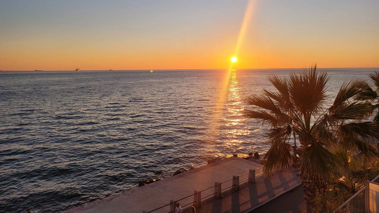 Sonnenuntergang am Meer, im Vordergrund Palmen und ein Bootsanleger.