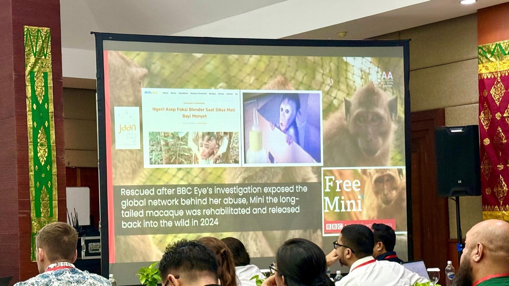 Fachkonferenz auf Bali zum Thema Tierleid in sozialen Medien