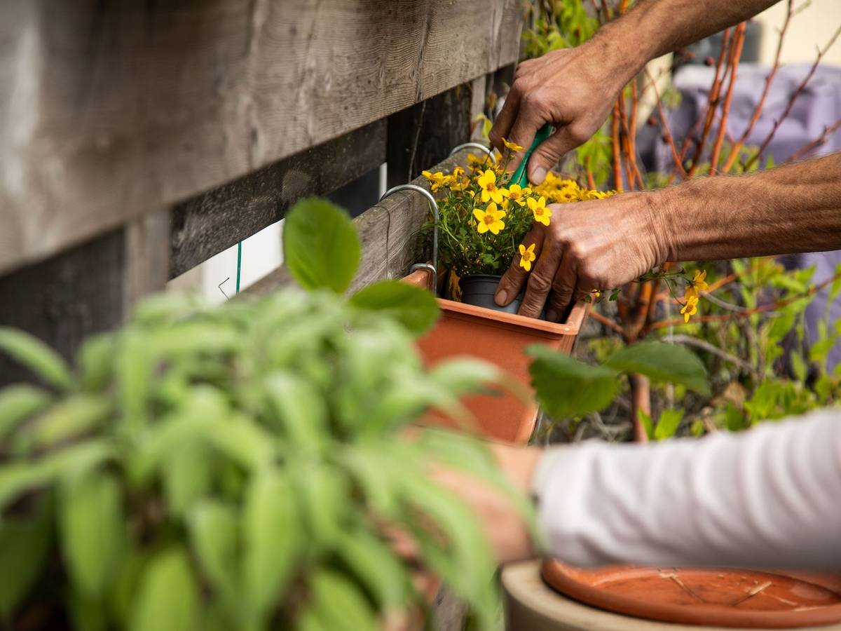 Zwei Personen gärtnern auf einer Terrasse